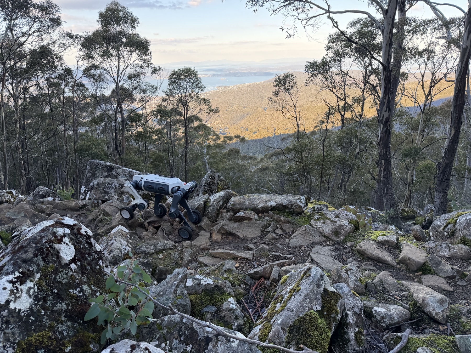 The wheeled-leg field platform stands on lichen-covered dolerite high above Hobart, the Derwent estuary lit below.